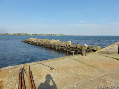 Fiskepladsen på Snaptun Havn.