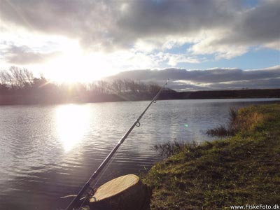 Størfiskeri i december måned i Loch Nees.
