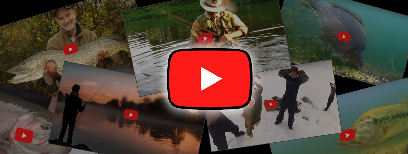 Fiskebiograf - 837 fiskevideoer fra hele verden