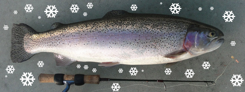 Julefiskeri - Lystfiskeri i juleferien og til nytår