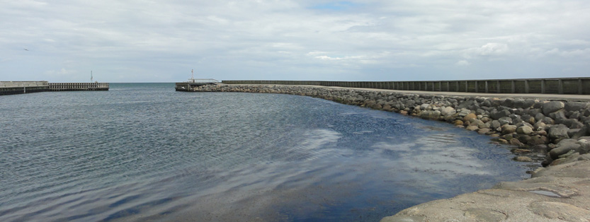 Lystfiskeri Sæby (Havn / mole)