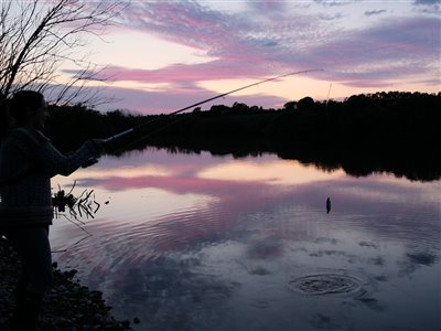 Aftenfiskeri og flot solnedgang.