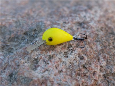 Den lille gule wobler. Rapture Hot Buzz MK 2,5cm 3 gram.