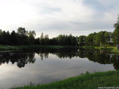 Den lille sø i Resenbro put and take ved Skellerup