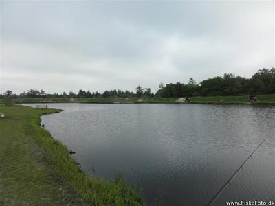 Den nye sø i Loch Nees put and take. 2016.