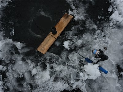 Der fiskes aborrer på isen med levende skalle og bidmelder.