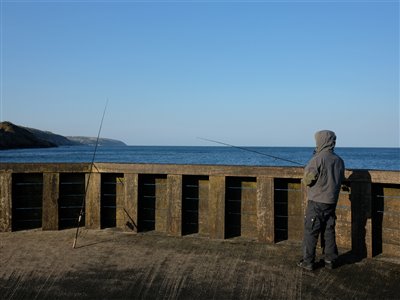 Der fiskes fladfisk på Hammerhavn.