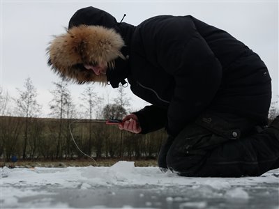 Der kigges efter småfisk i hullet i isen.