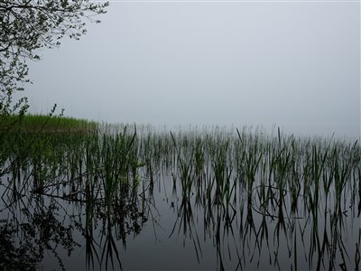 Der lå lidt tåge på søen fra morgenstunden, men den brændte hurtigt af.