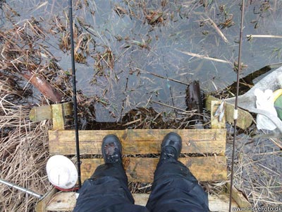 Der var lidt højvandet ved mosen, så det meste af fisketuren foregik på en halvoversvømmet bænk ;)