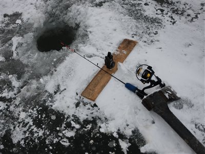 Et lille setup med bidmelder til isfiskeriet med levende skaller.