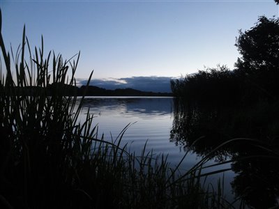 Fantastisk stille aften ved søen.