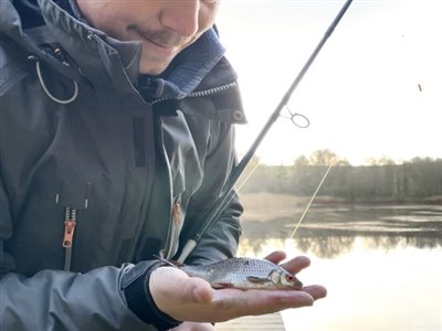 FiskeFoto.dk-s webredaktør kan også fange fisk ...