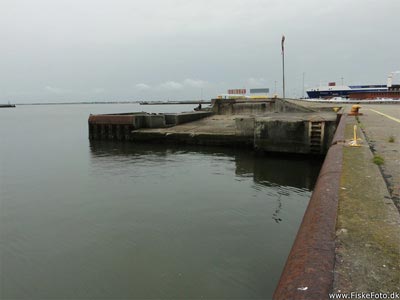 Fiskepladsen på Esbjerg Havn.