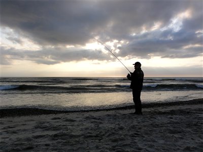 Fiskeri efter fladfisk ved den jyske vestkyst.