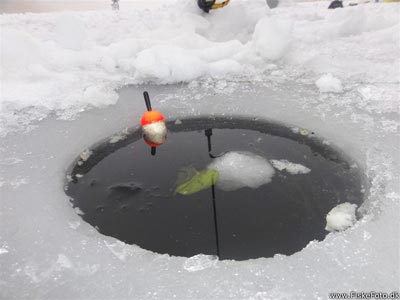 Flådfiskeri i isen.