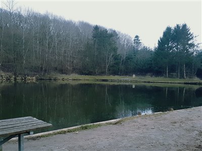 Halvdelen af sø 2