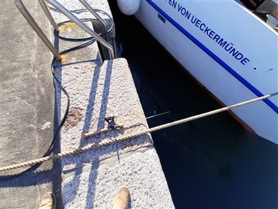 Inden afgang fiskede jeg med det inderste af min UL-stang efter sortmundet kutling i Hammerhavn, men det gav ikke noget.