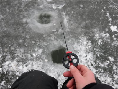 Isfiskeri efter skaller med den lille ispimpel.