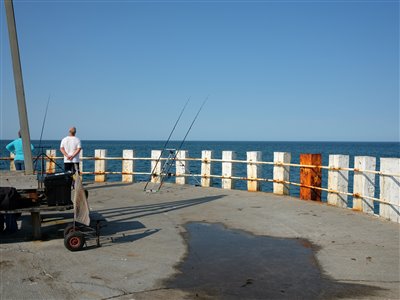Jeg snakkede med to hollændere, som havde fisket på Bønnerup Havn i 5 dage, de havde kun fanget 2 fladfisk men en del fjæsinger.