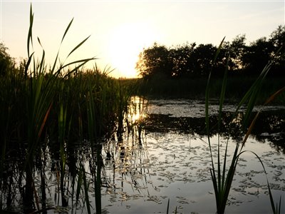 Karusse-søen.