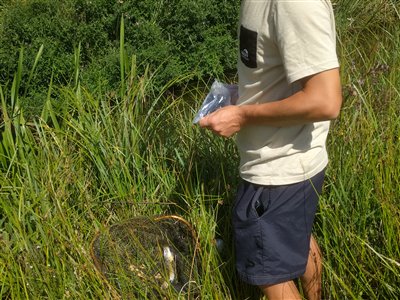 Kasper finder kameraet frem med en fisk i fangstnettet.
