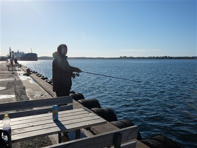 Kenny fisker makrel på Fredericia Havn først i september.