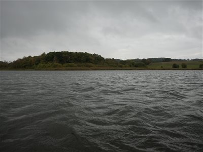 Lidt regn og rusk på søen.