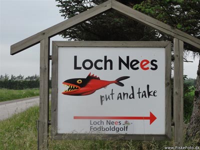 Loch Nees put and take i Vestjylland.