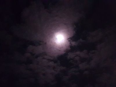 Månen på en stille aften.
