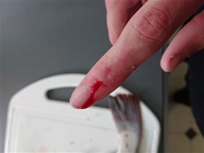min filletkniv bliver. slibet ind imellem men nu trænger den til en grundig omgang. men pas stadigvæk på fingrene! den smuttede nemlig for mig.