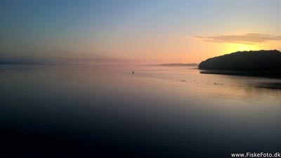 Morgenstund ved Fjorden.