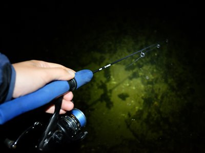 Natfiskeri i søen med den lille fiskestang og regnorm.