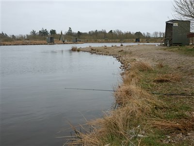 Ørredfiskeri i Loch Nees.
