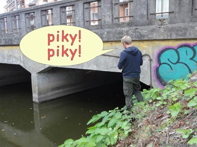 Piky piky - Gustav fisker under broen.