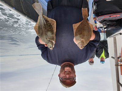 Skrubbe (Platichthys flesus) Fanget ved medefiskeri. 
Denne skrubbe blev hjemtaget. Nordsjælland, Øresund (Hav) skrubbefiskeri, fladfisk, børsteorm, sild, sandorm, sandigler, tobis