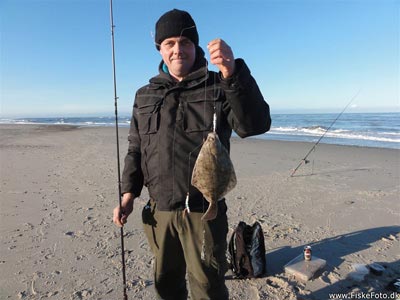 Skrubbe (Platichthys flesus) Fanget ved medefiskeri. 
Denne skrubbe blev hjemtaget. Vestjylland, stranden syd for Hvide Sande (Kyst) skrubbefiskeri, fladfisk, børsteorm, sild, sandorm, sandigler, tobis