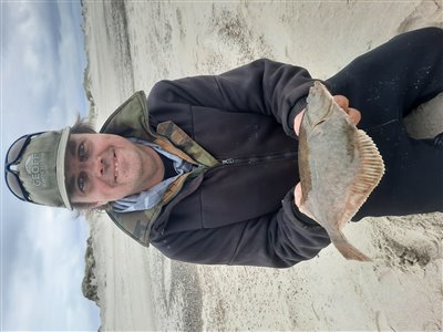Skrubbe (Platichthys flesus) Fanget ved medefiskeri. 
Denne skrubbe blev genudsat. Vestjylland, stranden syd for Hvide Sande (Kyst) skrubbefiskeri, fladfisk, børsteorm, sild, sandorm, sandigler, tobis