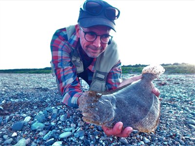 Slethvarre (Scophthalmus  rhombus) Fanget ved medefiskeri. 
Denne slethvarre blev genudsat. Østjylland, Djursland (Kyst) slethvarfiskeri, tobis, hornfisk, levende, trekrog, slethvar