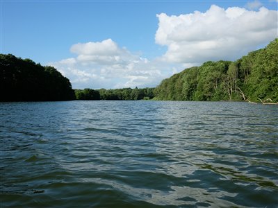 Søen havde fået en klassisk grøn sommerfarve.