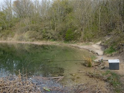 Søens klare vand husede mange små tigerørreder.