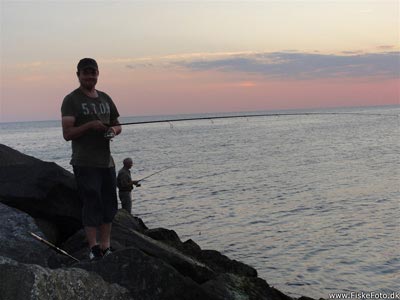 Søren fisker efter makreller på molen ved Hvide Sande.