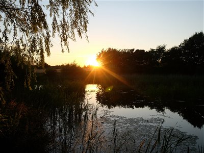Solnedgang ved karusse-dammen.