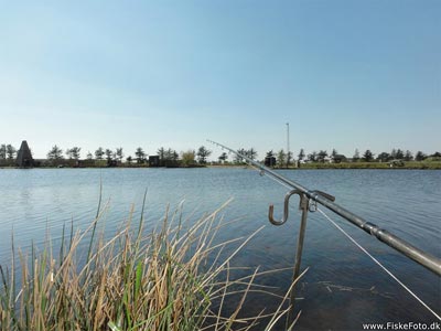 Størfiskeri i Loch Nees i Vestjylland.