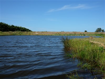 Størsøen i Loch Nees.