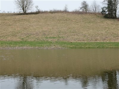 To harer hoppede rundt på den anden side af søen.