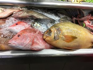 Kommer man til Borneo igen, skulle man måske sikre sig en fisketur på havet? Diverse fangster fra saltvand – på fiskemarkedet og restaurant-området Topspot i Kuching.