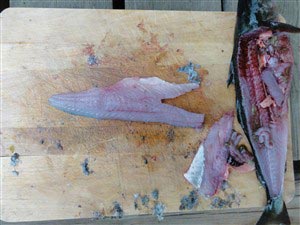 12. Den lille stribe kød som nervebenene sidder i, kan fjernes, og fileten er færdig. Skyl fileten før frysning eller tilberedning.