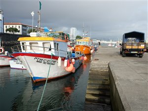I en del af havnen i Ponta Delgada måtte man gerne fiske.