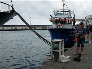 Lokale lystfiskere på havnen i Ponta Delgada.
